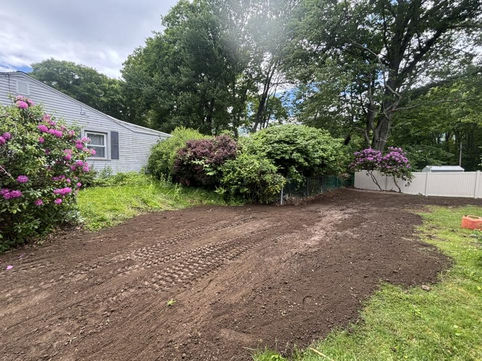 Final cleared area after knotweed excavation in Auburn, MA